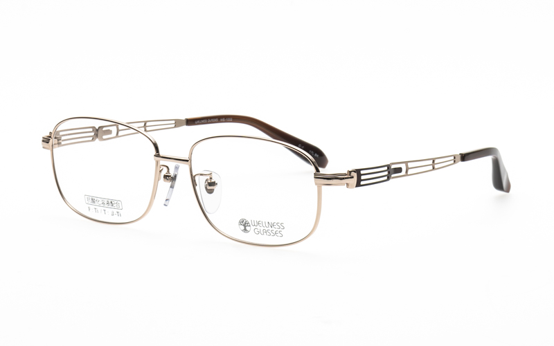 WELLNESS GLASSES WE1002 1 56