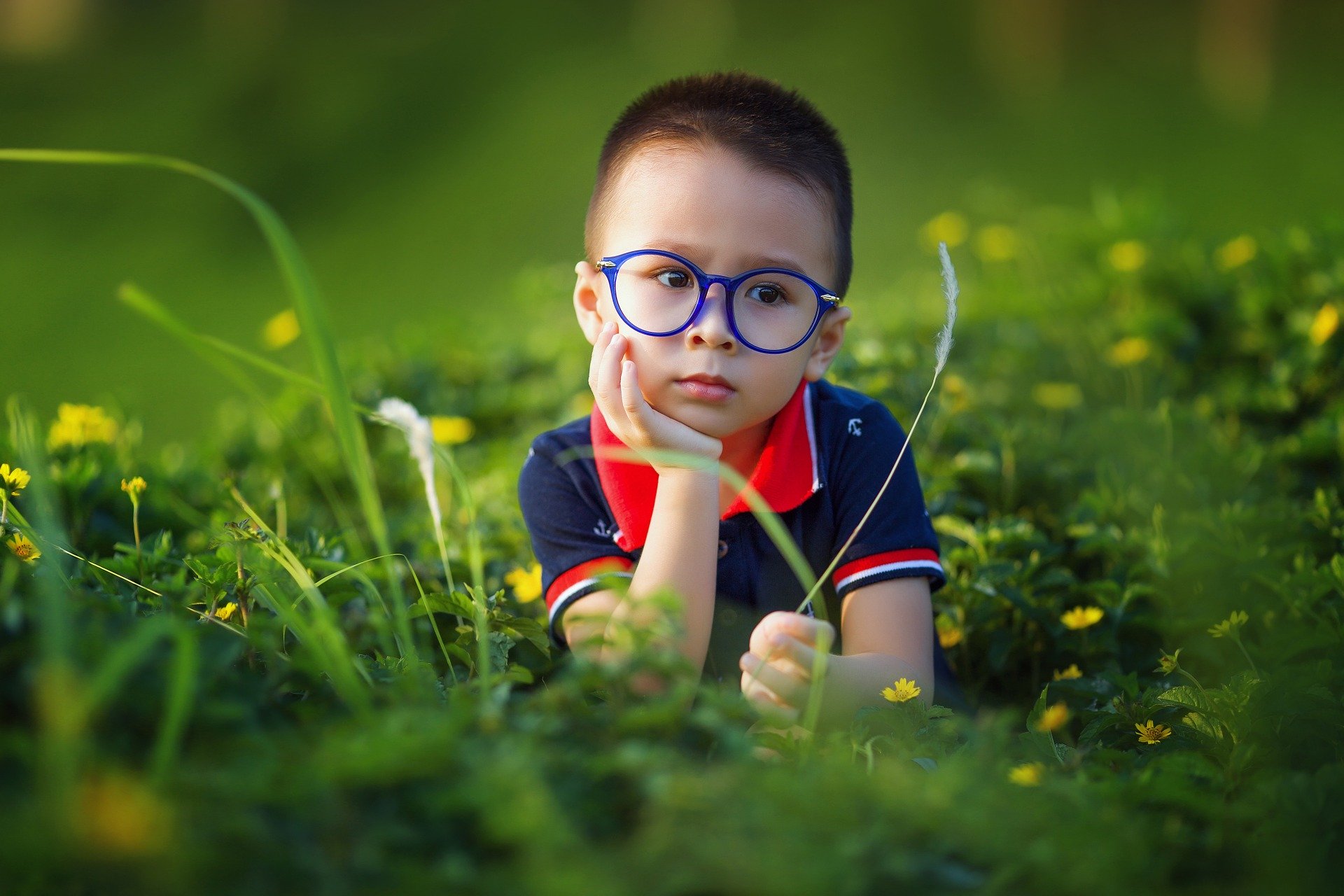 子供用メガネ 眼鏡 購入時の保証比較 購入先の選び方なども紹介 ビジョンメガネマガジン