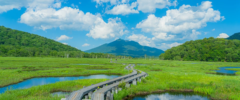 目に緑色がいいって本当 ビジョンメガネ公式サイト 眼鏡 めがね 補聴器取扱い