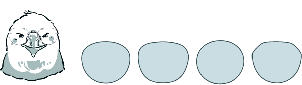 オーバルタイプ